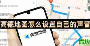 高德地圖導航APP如何設置語音提示-高德地圖導航軟件語音設置方法